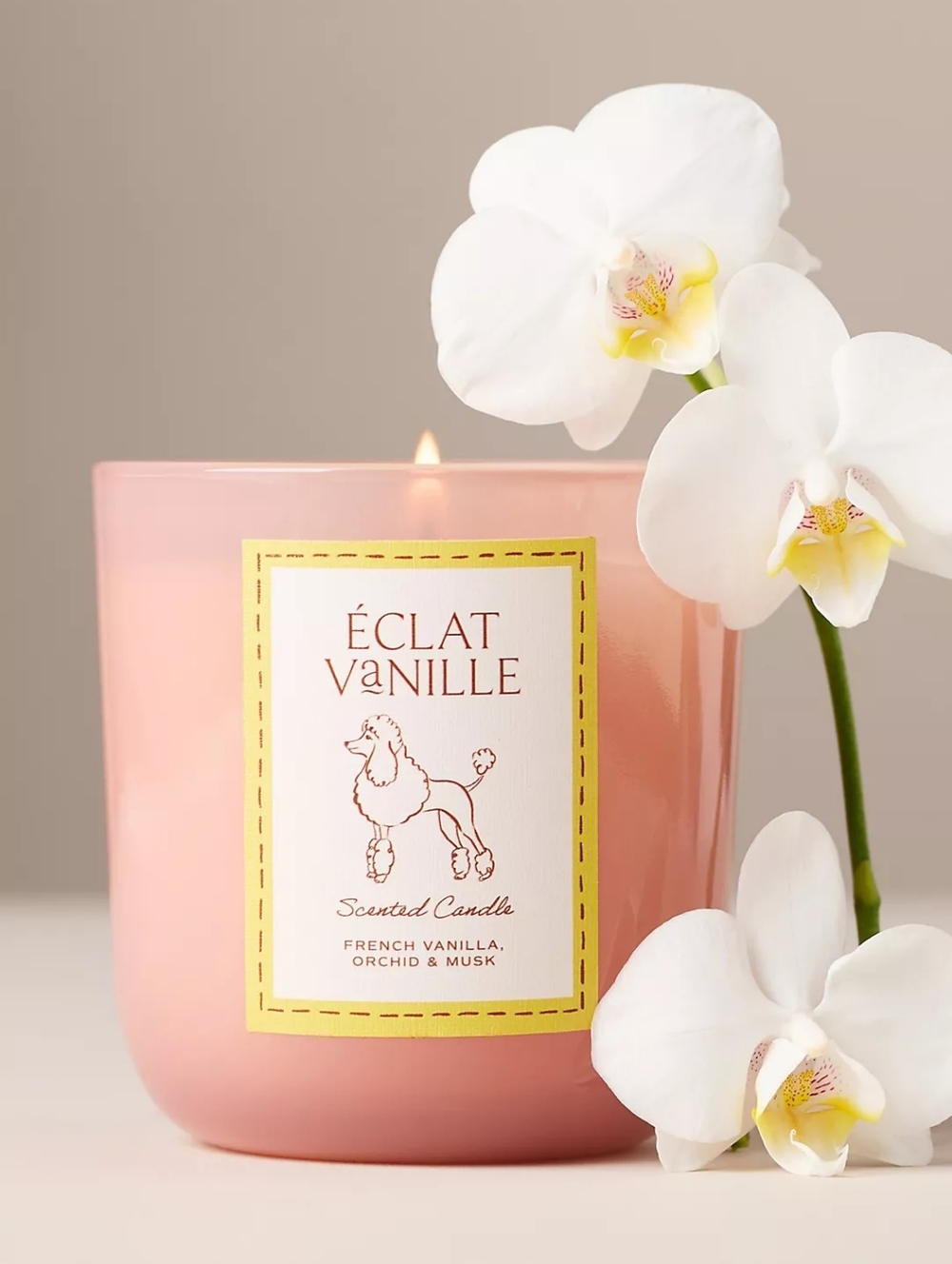 Anthropologie x Papier Gourmand Éclat Vanille Poodle Glass Candle